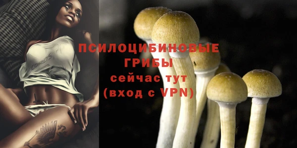 мдпв Карталы