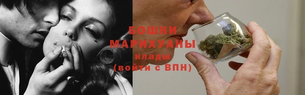 дмт Касимов