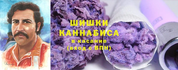 дмт Касимов
