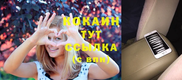 дмт Касимов