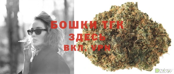 дмт Касимов