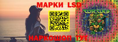 СК Усть-Джегута
