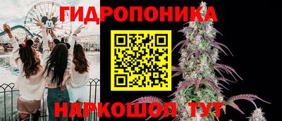 индика Уссурийск