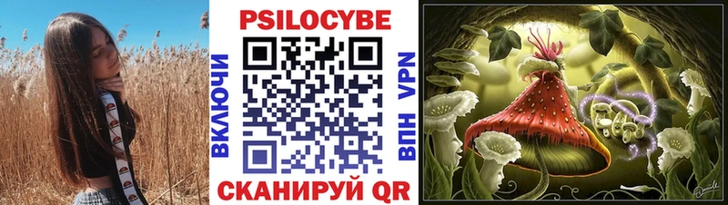 Галлюциногенные грибы Cubensis  Нерюнгри 