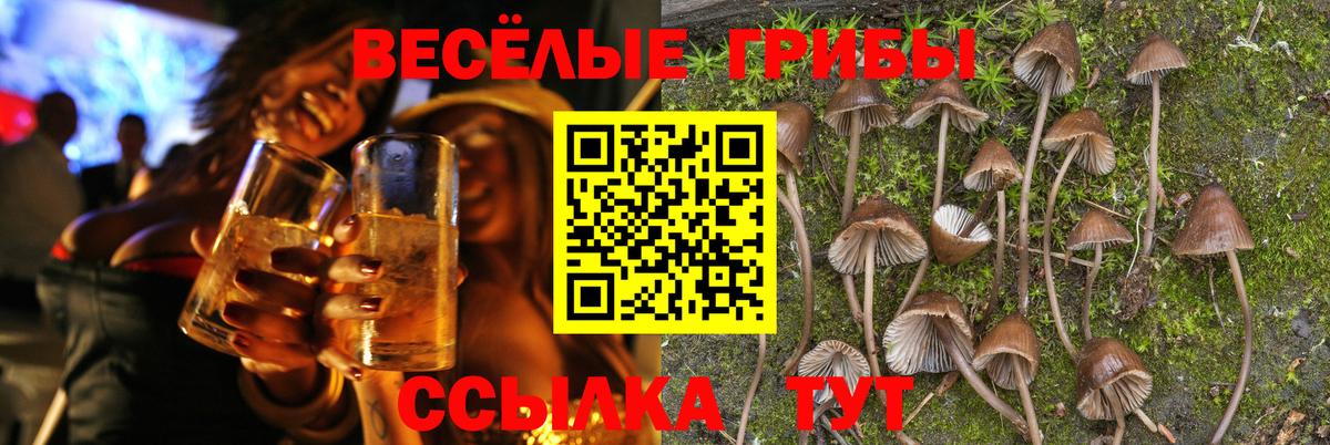 Галлюциногенные грибы Psilocybine cubensis  Галлюциногенные грибы GOLDEN TEACHER  Вход с VPN  Нерюнгри 